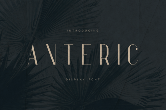 Anteric: The Premium Serif Font for High-Impact Campaigns