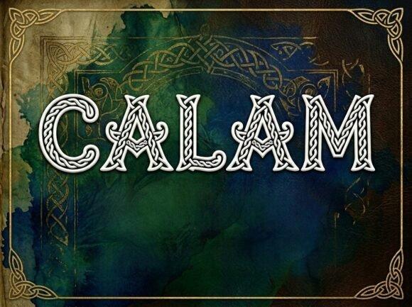 Calam Typeface Review: A Bold Display Font for Digital Branding