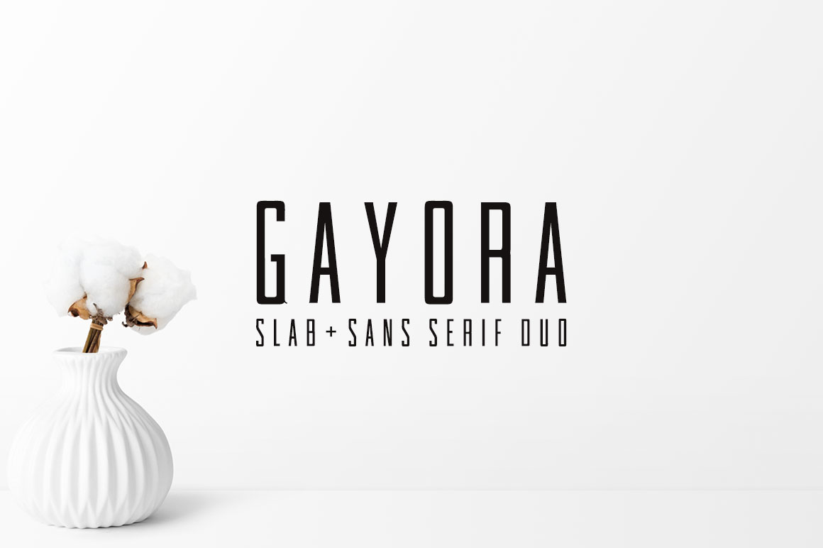 Gayora: The Modern Slab Serif Typeface for High-Performance Web Design