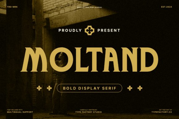 Moltand: The Bold Serif Font That Drives Campaign Clarity